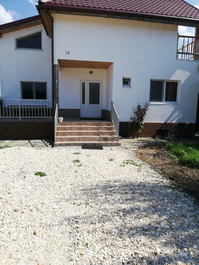 Vila Ekooos Brasov Exterior photo